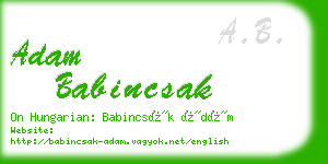 adam babincsak business card
